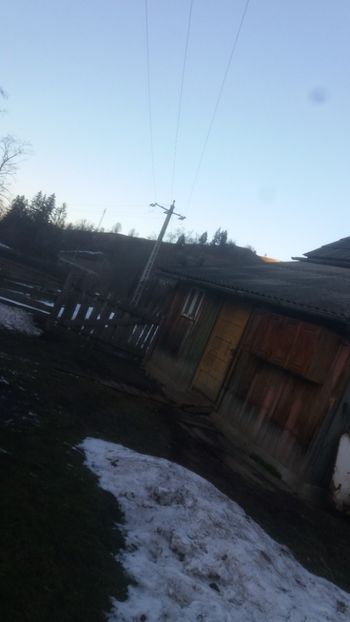  - 05 Arhiva Bibilici - Picheri