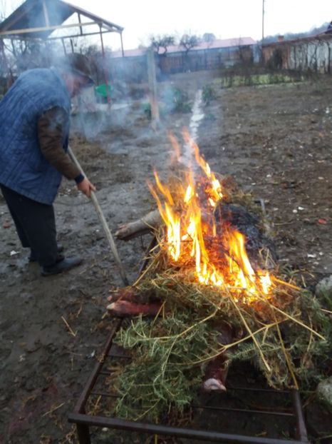  - Sacrificarea porcului decembrie 2017