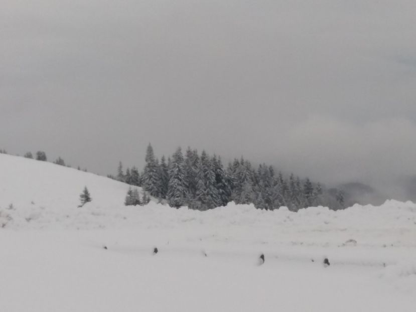  - 1 decembrie 2017 la Rânca