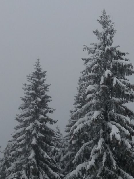  - 1 decembrie 2017 la Rânca