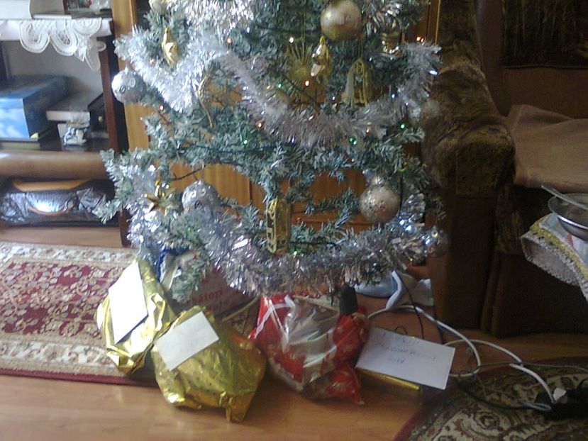 Fotografie3351 - 2017 CRACIUN