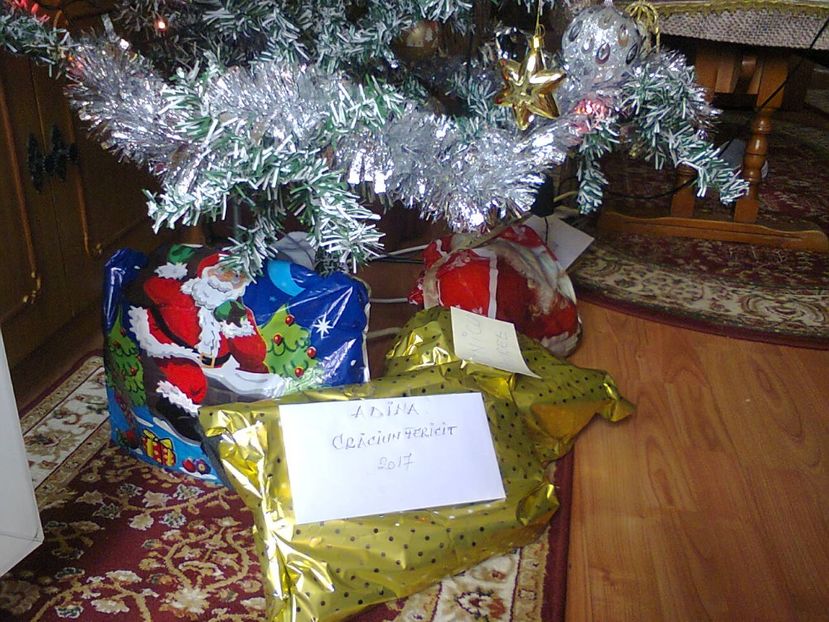 Fotografie3352 - 2017 CRACIUN