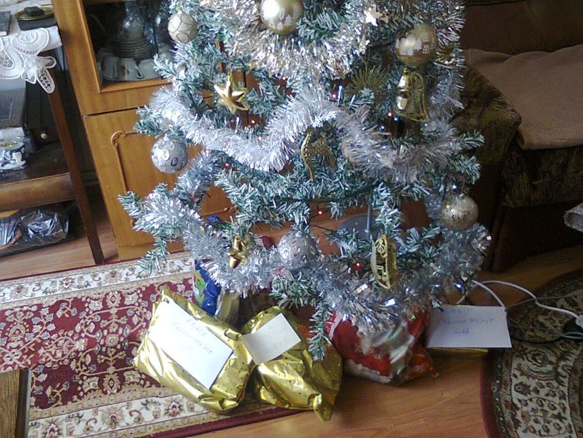 Fotografie3353 - 2017 CRACIUN