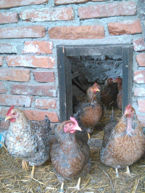  - BIELEFELDER PITIC 2018