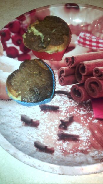  - Schlumbergera 2014-2020