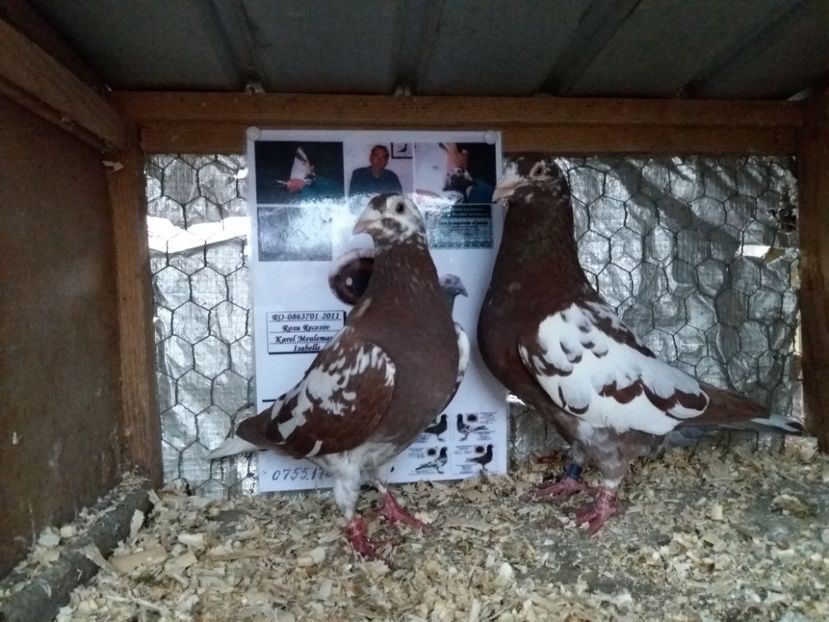  - MATCA MEULEMANS 2018