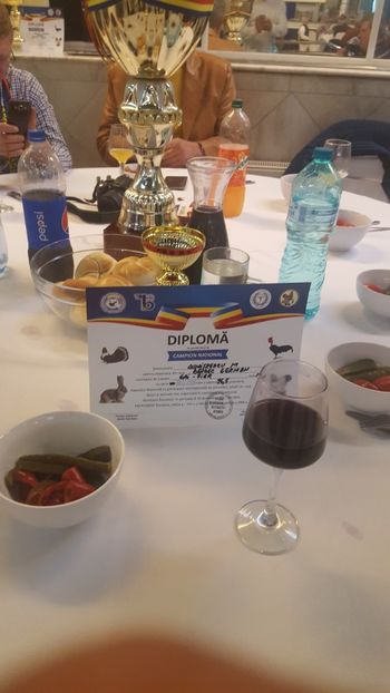  - Rezultatele Bucuresti Națională 2017