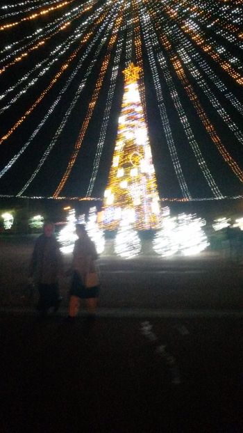  - poze 2017