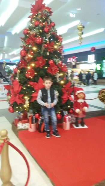  - poze 2017