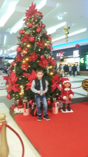  - poze 2017