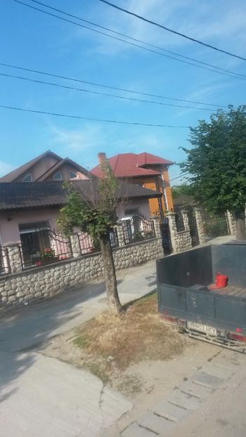  - poze 2017