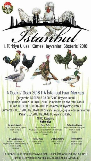  - T--TARGURI SI EXPOZITII