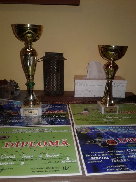 Premii 2017 - 1 contact