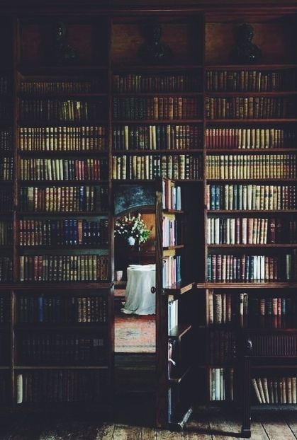 viitoarea mea ușă secretă - I just love books