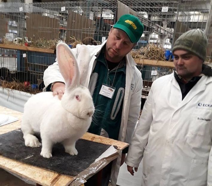  - 04 - Sandor Brugger