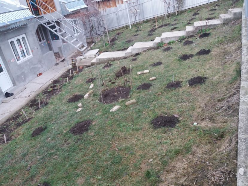  - 000000000000001   GRADINA MEA