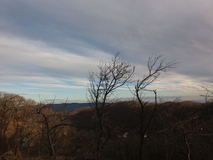  - Satul Hotaru Satul bunicilor