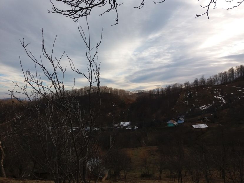  - Satul Hotaru Satul bunicilor