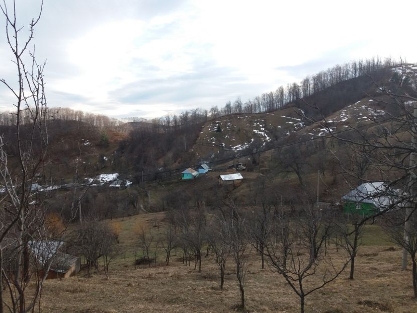  - Satul Hotaru Satul bunicilor