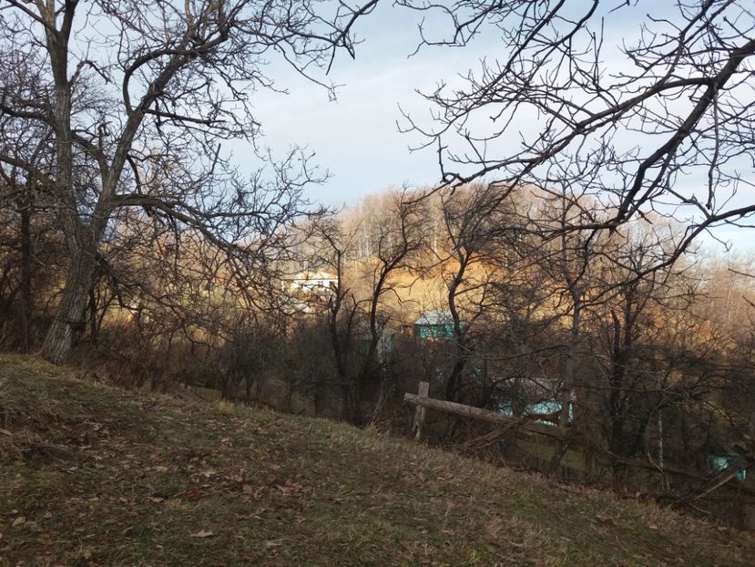  - Satul Hotaru Satul bunicilor