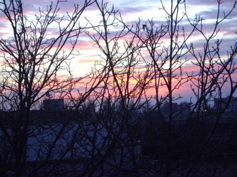 Seara de Revelion - v Iarna 2016-2017-2018