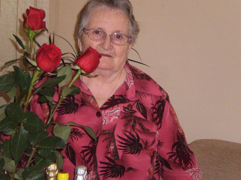  - REVELION 2011-2012-2013-2014-2015_2017-2018