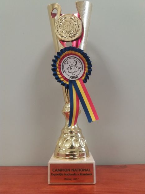  - Expoziția Națională Băicoi 2017