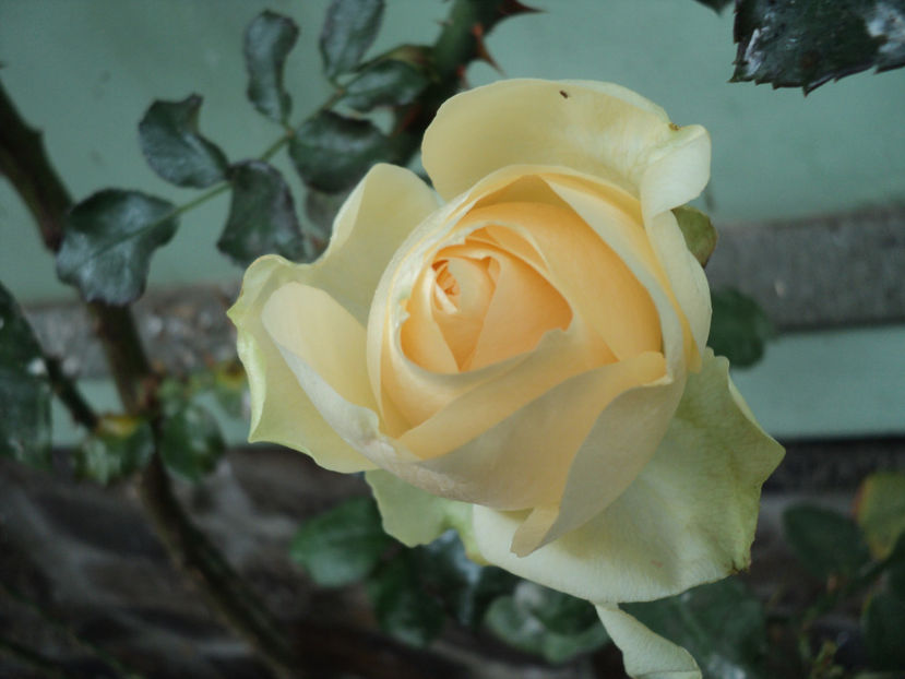 31 12 2017 - Vendella