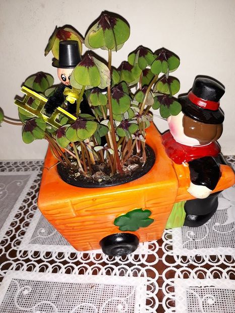  - 2018 - Florile mele