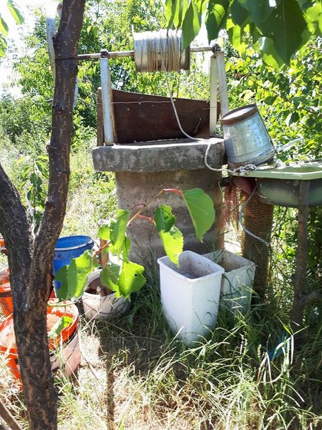 fantana ha1 - merisoare