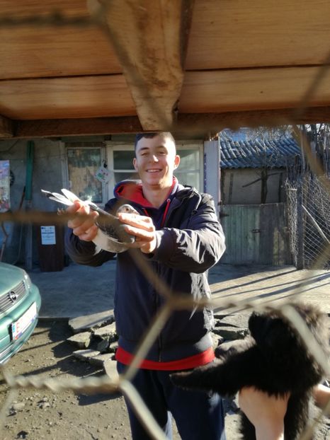  - 1 ianuarie 2018-Vizita Columbofila