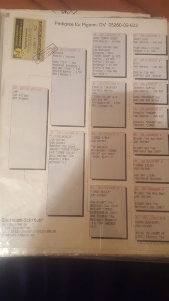 Dv 2009 - ACHIZITII 2018