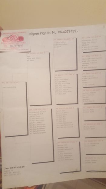 Nl 2006 - ACHIZITII 2018