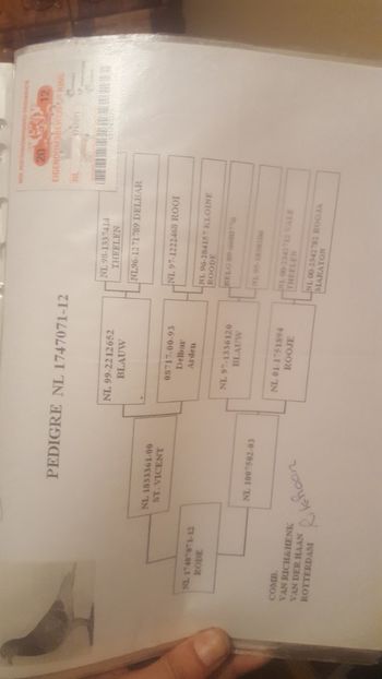 NL 2012 - ACHIZITII 2018