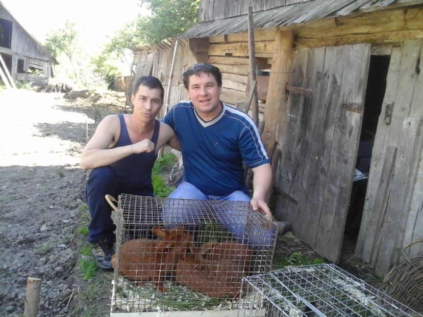  - 04-UJ-ZELANDI VOROS - NEOZEELANDEZ ROSU