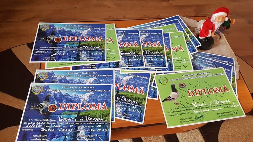  - REZULTATELE OBTINUTE PE ANUL 2017