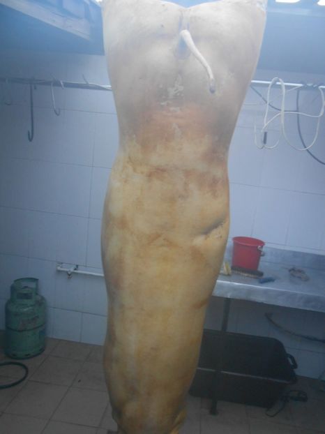  - craciun cu preparate 2017