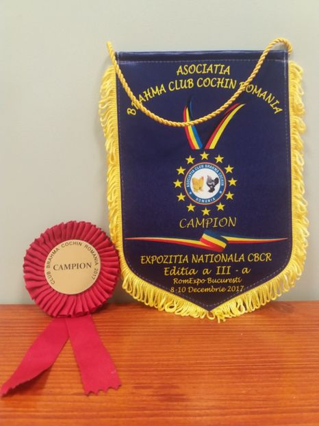  - Expoziția Națională Brahma Cochin Club Romania Bucureşti 2017