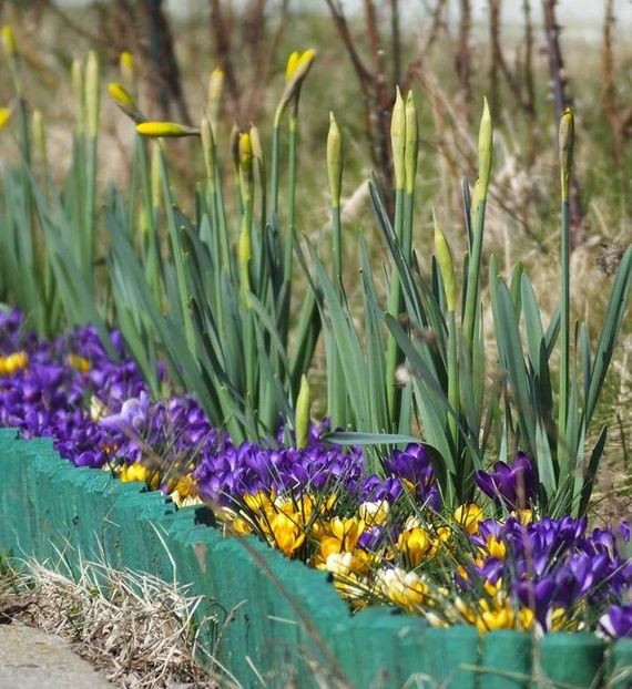  - 2016_02-04_Febr-Aprilie