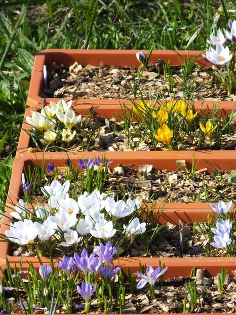 19.03-5 - 2016_02-04_Febr-Aprilie