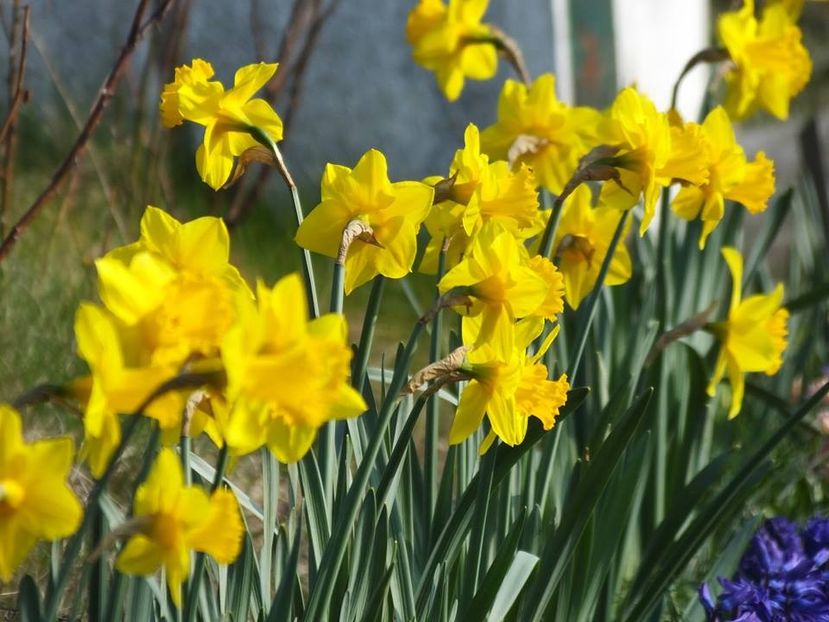 21.03-2 - 2016_02-04_Febr-Aprilie