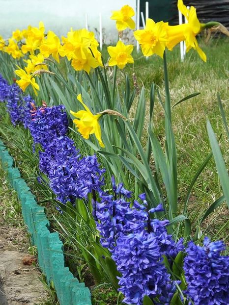 28.03-2 - 2016_02-04_Febr-Aprilie