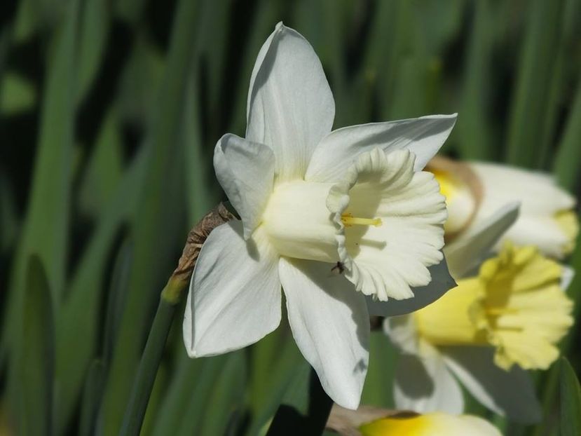 31-03-18 - 2016_02-04_Febr-Aprilie