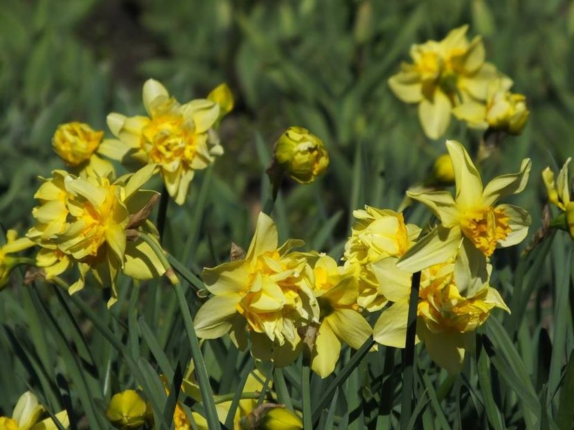 31-03-23 - 2016_02-04_Febr-Aprilie