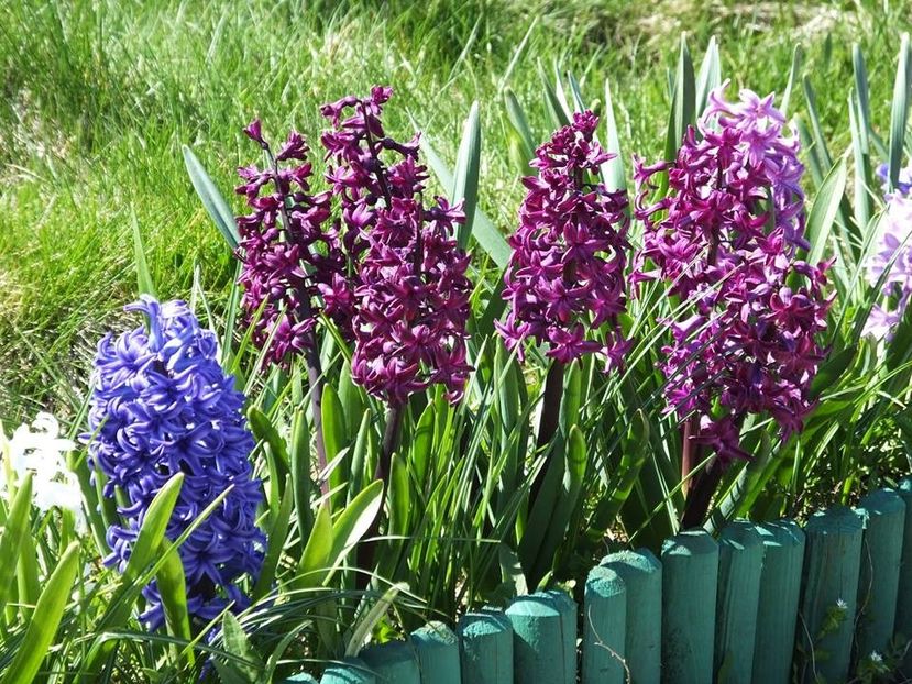 31-03-30 - 2016_02-04_Febr-Aprilie