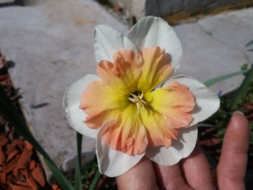 3.4-4 - 2016_02-04_Febr-Aprilie