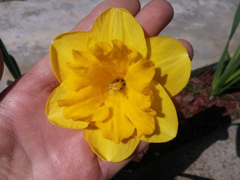 3.4-6 - 2016_02-04_Febr-Aprilie