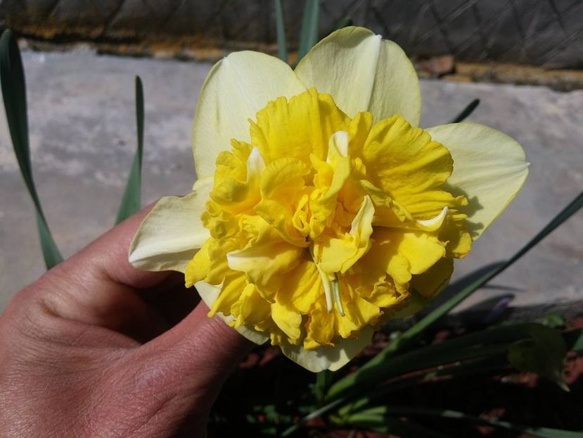 3.4-7 - 2016_02-04_Febr-Aprilie