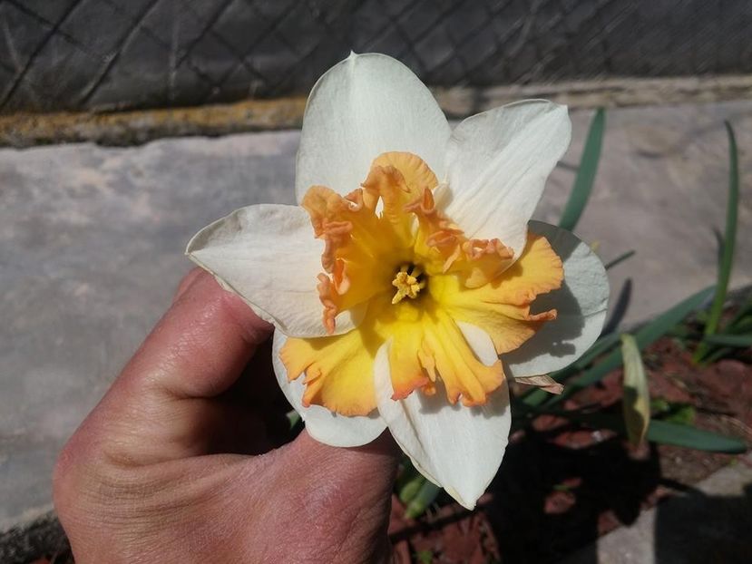 3.4-8 - 2016_02-04_Febr-Aprilie