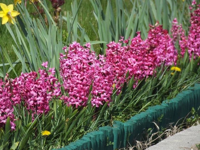 3.4-16 - 2016_02-04_Febr-Aprilie